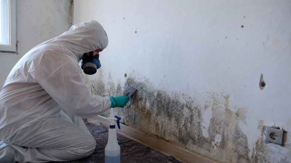 Fachkraft in Schutzanzug entfernt Schimmelbefall von einer Innenwand
